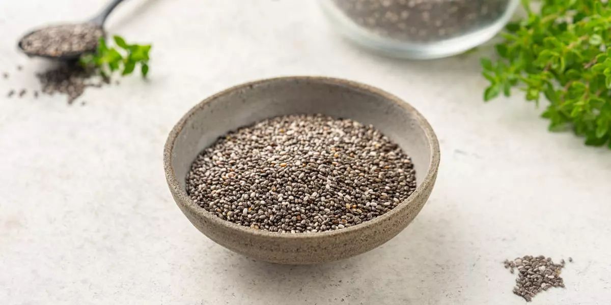 Северные сорта марихуаны: какие стрейны лучше подходят для холодного климата Северные сорта марихуаны: какие стрейны лучше подходят для холодного климата